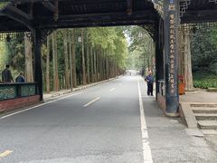 -青城山