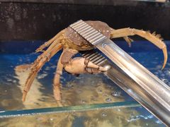 -苏格里岛自助海鲜烤肉(青秀万达店)