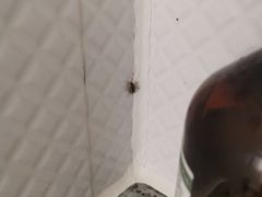 -全季酒店(广州越秀公园店)