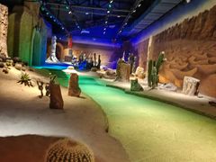 -海上花岛玫瑰园采摘