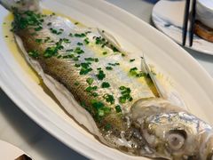 招牌清蒸钱塘江白条-柳莺湖上·湖景餐厅·江南菜(西湖店)