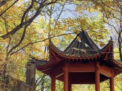 -少华山国家森林公园