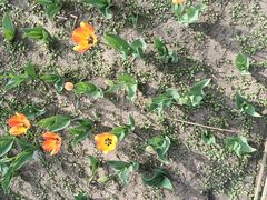 -长春公园(普阳街道)