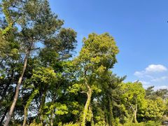 -宁波市保国寺古建筑博物馆