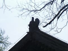 -大觉寺-停车场