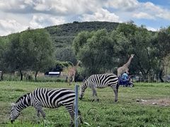 -哈尔滨北方森林动物园