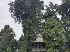 -报恩寺(平武县)