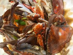 -小鱼儿海鲜港(新村十区店)