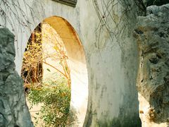 -艺圃