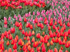 -玄武湖景区-情侣园游乐场