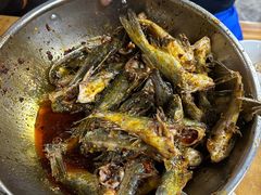 -金海椒罐罐鲢鱼(东方桂苑店)