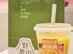 -野萃山·潮汕厚果汁(十亩地店)