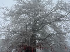 -南岳衡山风景名胜区-南岳大庙