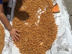 -西涌国际滨海旅游区