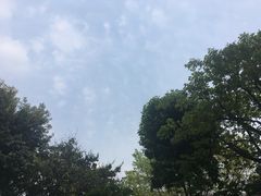 -德克士(砂之船奥特莱斯店)