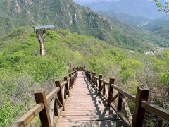 -大岭沟猕猴桃谷风景区