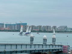 -五缘湾游艇帆船俱乐部
