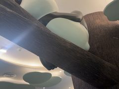 -眉州东坡·熊猫主题餐厅(枫蓝店)