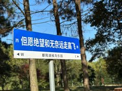 -鄱阳湖国家湿地公园