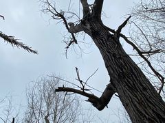 -西涌国际滨海旅游区