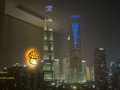 -智慧盲人按摩艾灸-颈肩腰膝疼痛调理(浦东店)