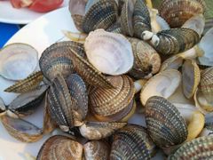 android_upload_pic-天津乾毓德饭庄·清真传统炒菜·海鲜烧烤(咸阳路店)