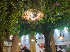 -大理董·董家小厨野生菌火锅(古城旗舰店)