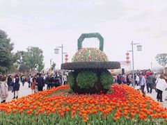 -金卉庄园