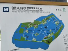 -荷花大观园