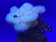 -海合安武汉极地海洋公园