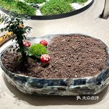 听说成都人聚会都吃他们家的私房菜！！