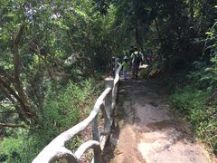 -越王山风景区