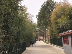 -红螺寺