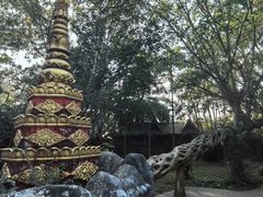 -瑞丽独树成林风景区