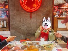 -贤合庄卤味火锅(济南泉城路店)