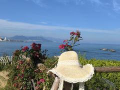 -小麦岛公园