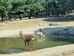 -西安秦岭野生动物园