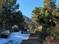 -牛首山文化旅游区