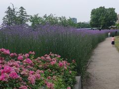 -杭州城北体育公园