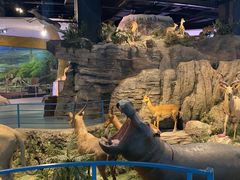 -陕西自然博物馆