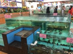 -聚家渔村·寻味顺德(大良店)