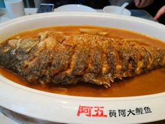 -阿五黄河大鲤鱼(纬三路店)