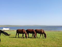 -呼和诺尔旅游景区