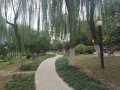 -后襄河公园