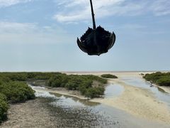 -北海金海湾红树林生态旅游区