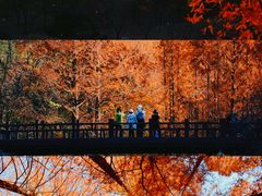 -沉浸北京·团建旅行·密室剧本杀·年会会议轰趴拓展