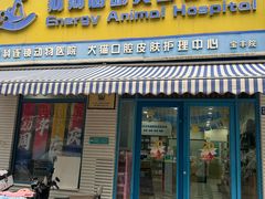 -总动员动物医院(宝丰院店)
