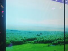 -温莎KTV(珠江路店)