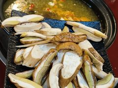 -蘑统田下·野生菌火锅