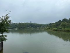 -宜兴龙背山森林公园